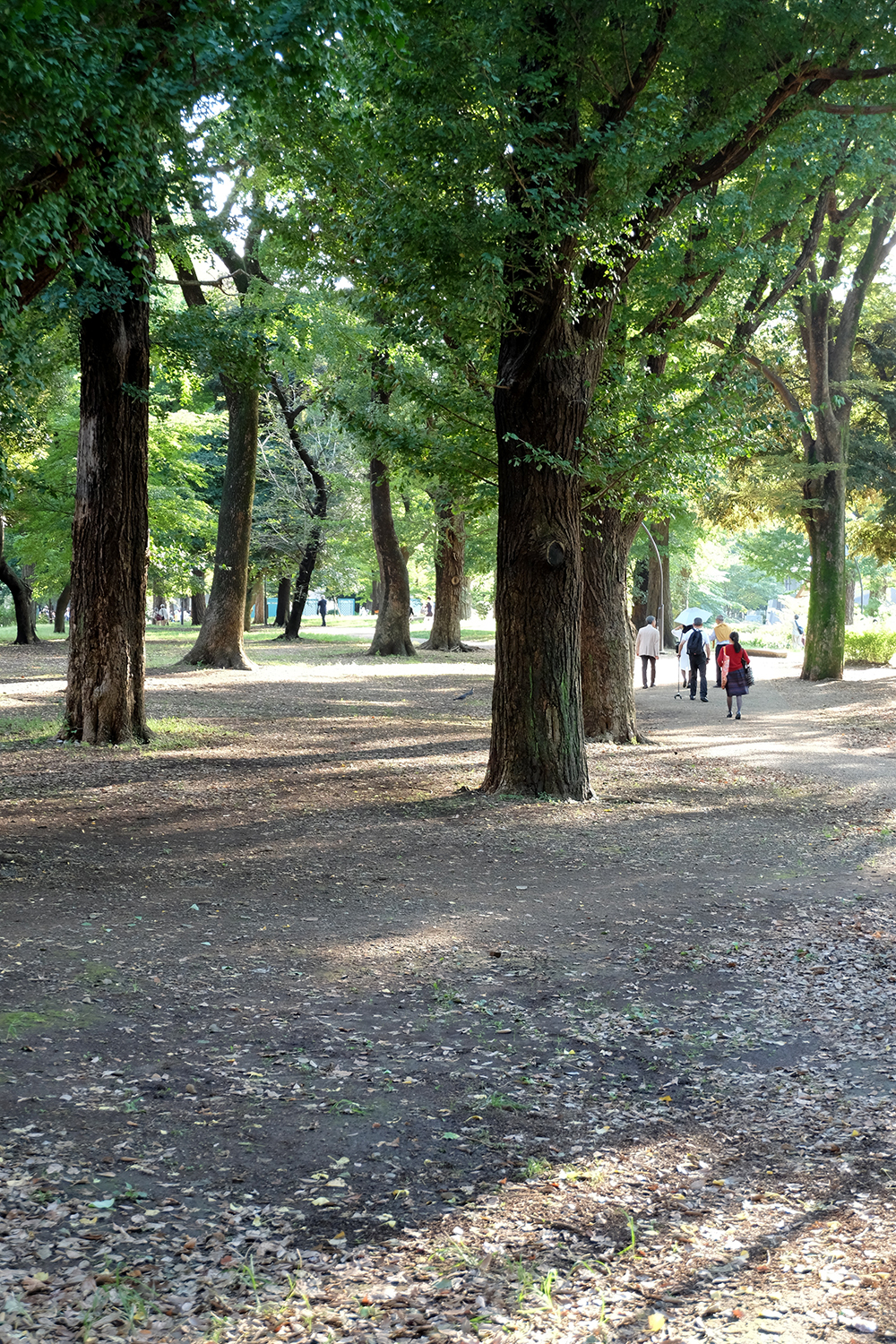 「フィンランドの森から」へ出かけようよ！